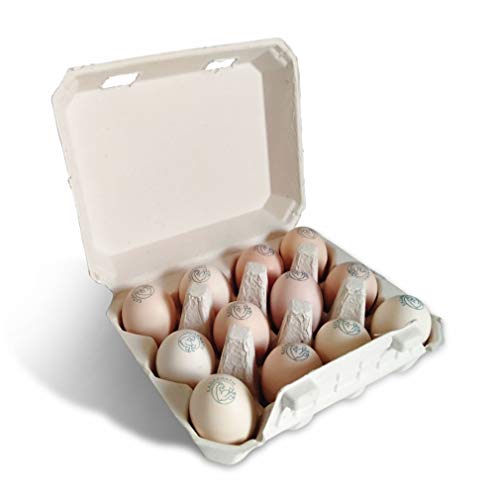 Kadaknath Low Cholesterol, Natura Eggs for Protein|Pack of 12