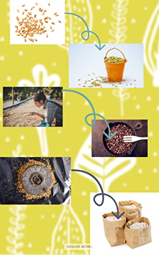 grains Bowl Hand Roasted multi grains health mix powder for Kids and Adults (NO COOKING NEEDED) Roasted Cereals & Pulses Powder, Chatua, Sathu maavu, Porridge Mix (Cardamom/Elaichi Flavour, 1 kg)