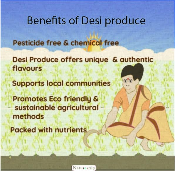 Natureship Hand Roasted Health Drink Mix- Masala Sattu 40gm (Pack of 4, 40gm * 4)