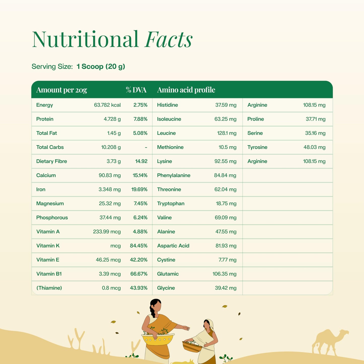 Maadico Moringa Sattu Protein Powder, 500 Gms | 4.7G Protein, 90.8G Carbs, 3.3G Fat Per 100G | Boosts Stamina, Endurance, Energy | Plant Protein Powder For Lean Muscle Mass & Weight Management |