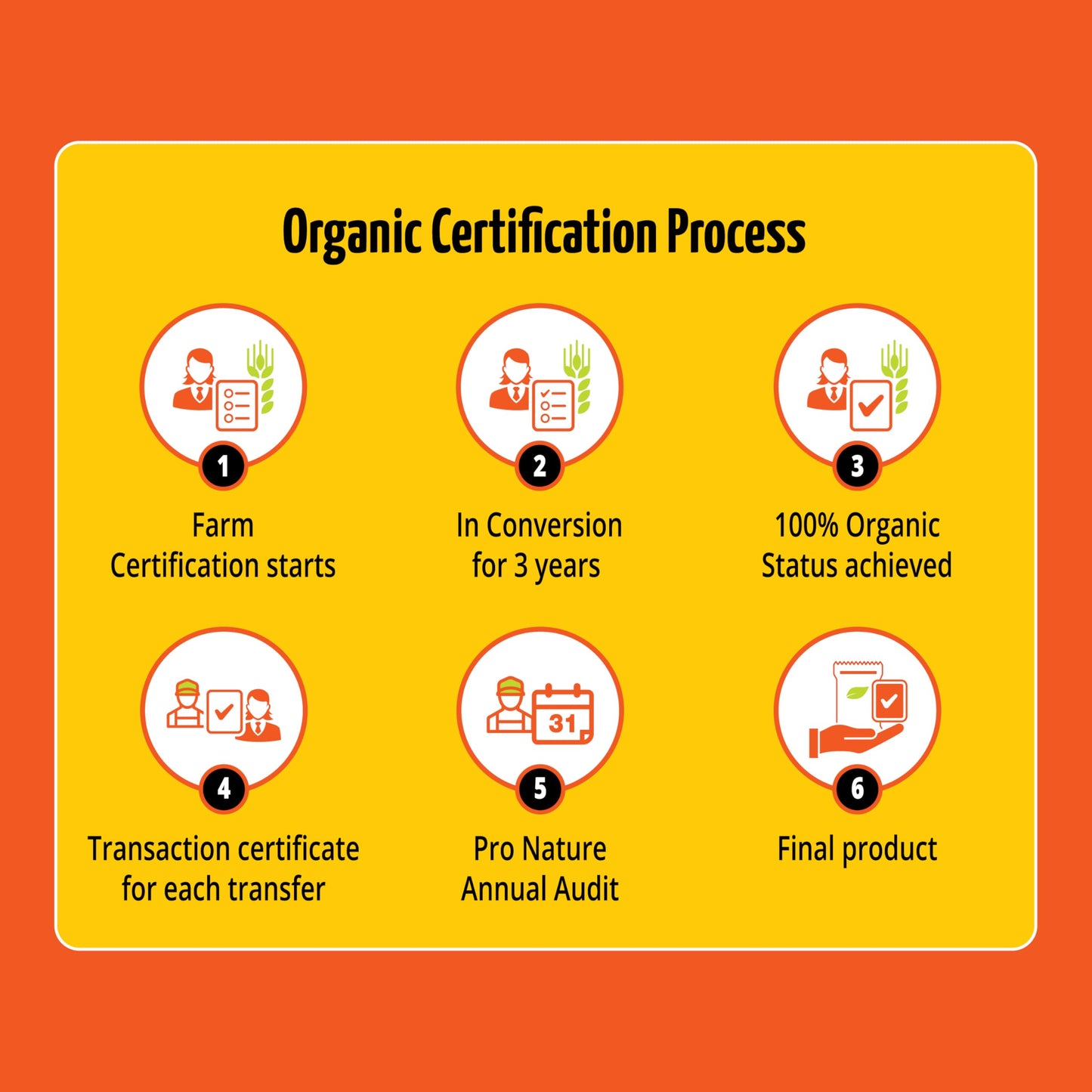 Pro Nature 100% Organic Channa Sattu, 250g