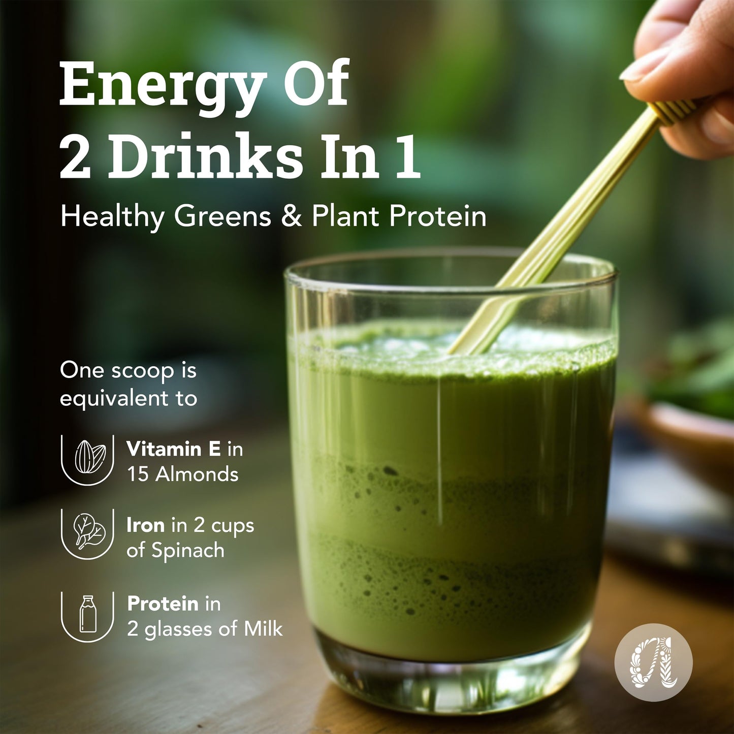 Anveshan Moringa Sattu Drink Mix - 300g | Chana Sattu Protein Powder | Drink | 8 Vitamin and Fibre Rich Nutrition Drink