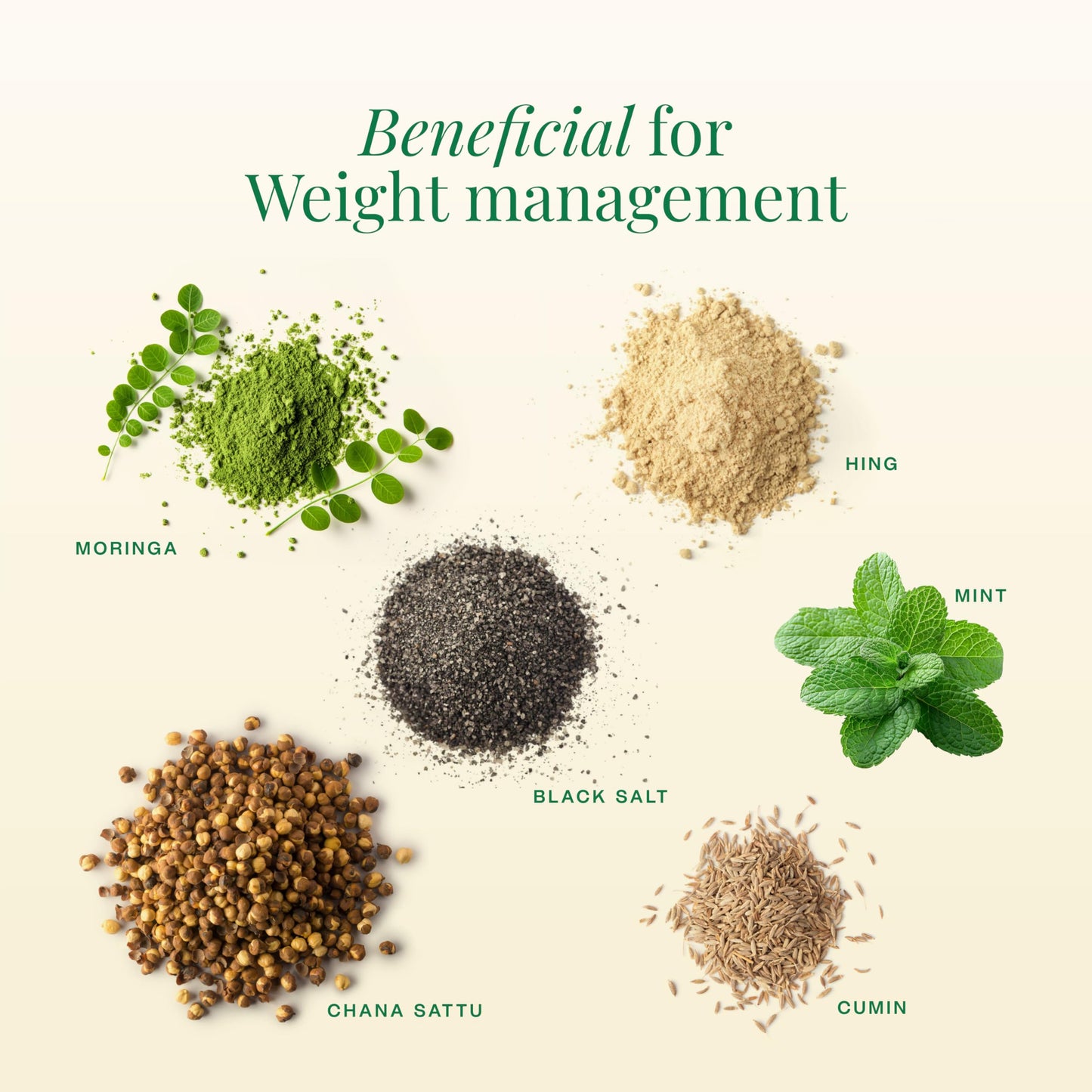 Maadico Moringa Sattu Protein Powder, 500 Gms | 4.7G Protein, 90.8G Carbs, 3.3G Fat Per 100G | Boosts Stamina, Endurance, Energy | Plant Protein Powder For Lean Muscle Mass & Weight Management |